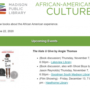 African American Culture newsletter screenshot