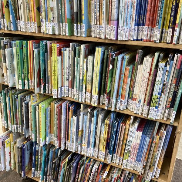 Shelves of new picture books 