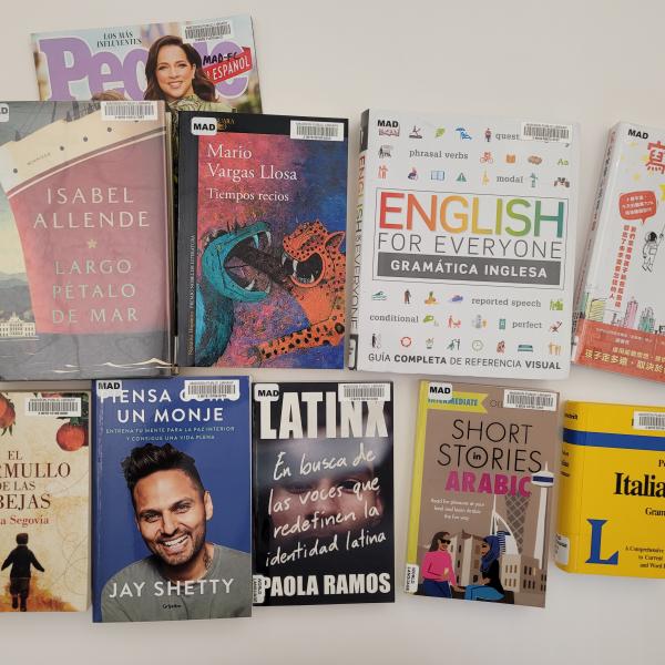 World Languages Collection at Madison Public Library