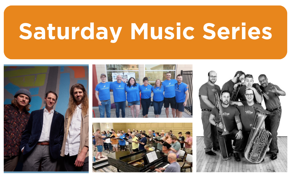 Saturday Music Series at Pinney Library featuring different local musicians performing live at the library on the first Saturday of each month